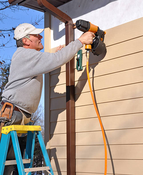 Best Fascia and Soffit Installation  in Ravenswood, WV