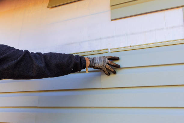 Best Historical Building Siding Restoration  in Ravenswood, WV